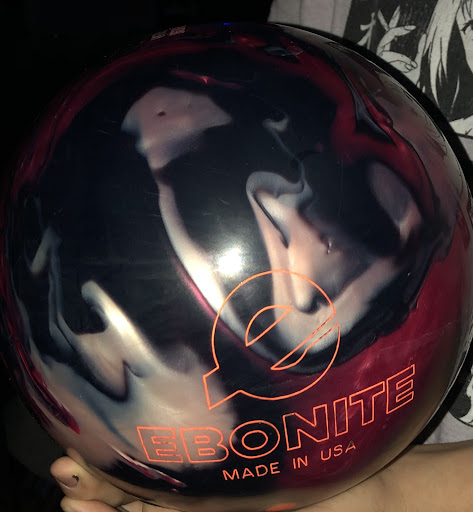 Cats Professional Shop, 8631 Old Co Rd 54, New Port Richey, FL 34653, USA, 