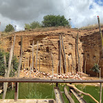 Photo n° 4 de l'avis de N.S.e fait le 08/08/2023 à 22:34 pour Bioparc de Doué-la-Fontaine à Doué-la-Fontaine