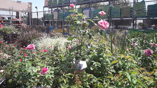 Home Improvement Store «The Home Depot», reviews and photos, 415 E Hwy 377, Granbury, TX 76048, USA