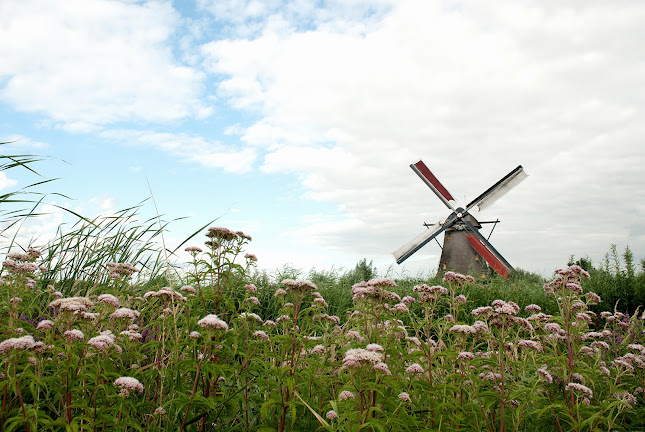 farbspektrum - fotografie - portraits - natur - events Öffnungszeiten