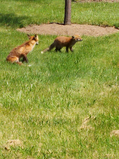 Performing Arts Theater «Stranahan Theater & Great Hall», reviews and photos, 4645 Heatherdowns Blvd, Toledo, OH 43614, USA