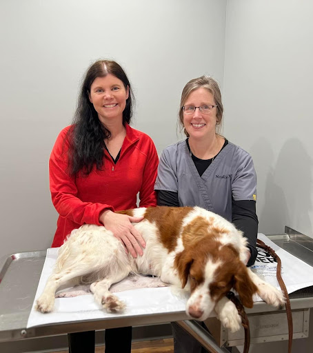 Wagener Animal Clinic image