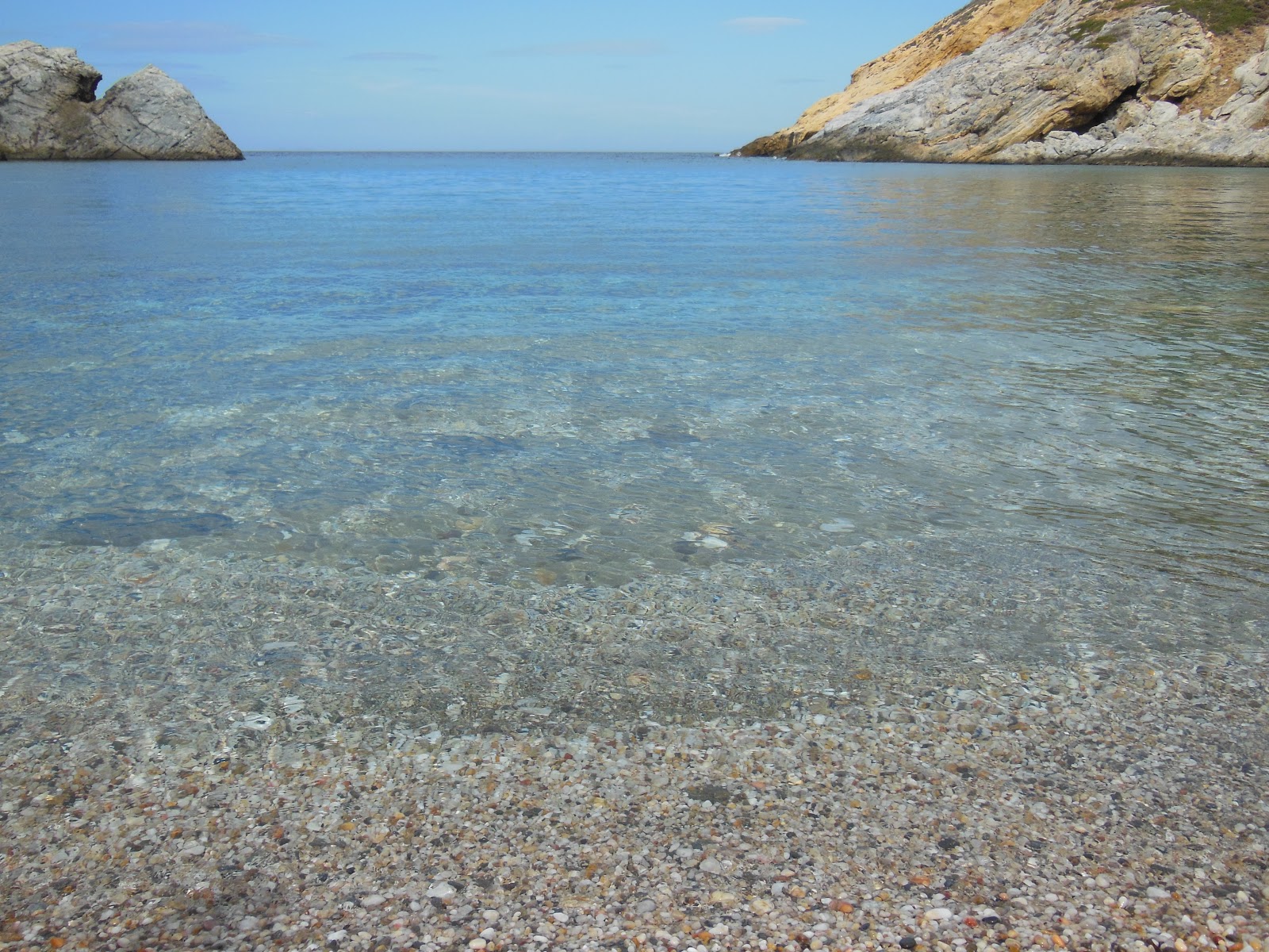 Itonas Bay'in fotoğrafı vahşi alan