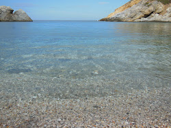 Itonas Bay'in fotoğrafı vahşi alan