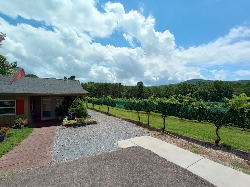 Winery «Sharp Mountain Vineyards», reviews and photos, 110 Rathgeb Trail, Jasper, GA 30143, USA