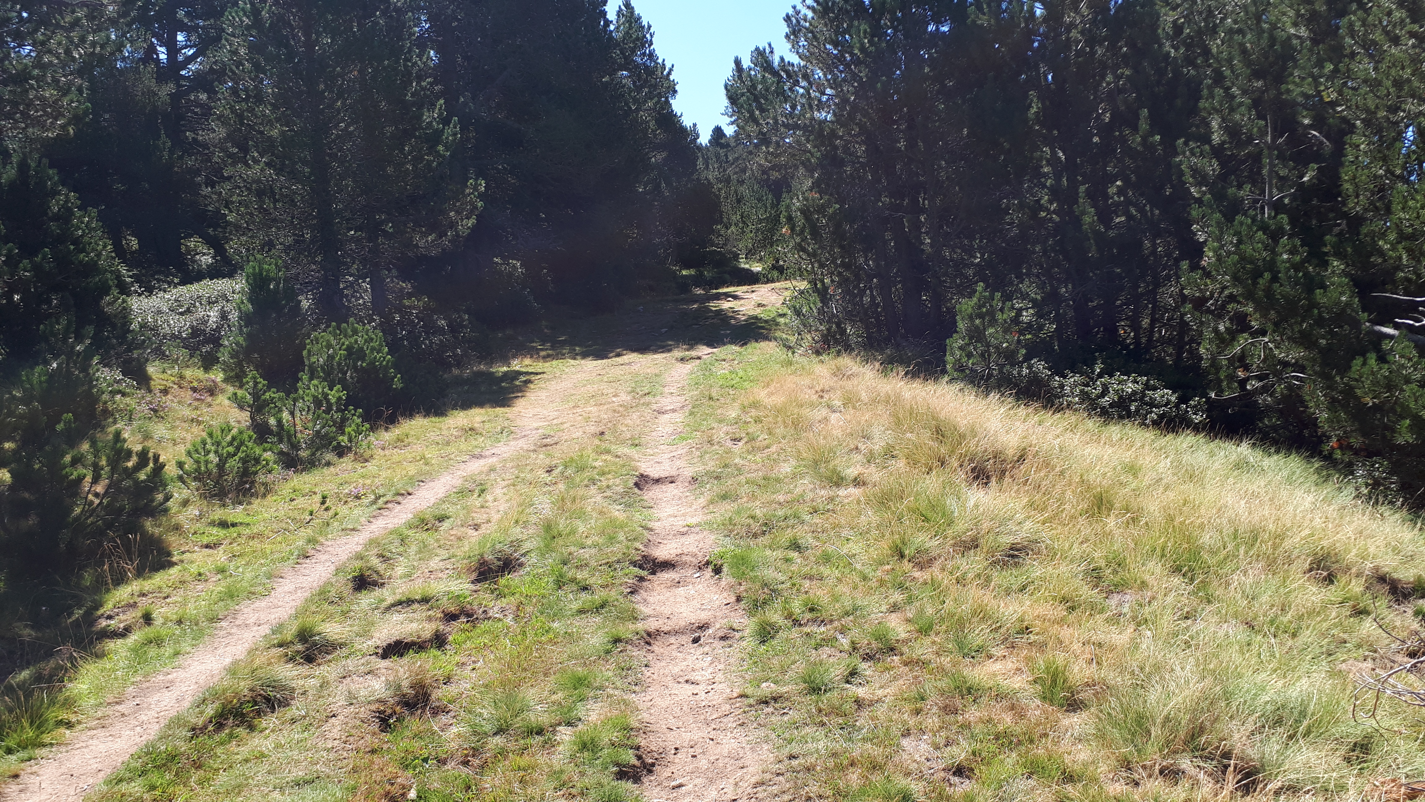 Photo n° 1 de l'avis de Christophe.e fait le 16/08/2019 à 17:19