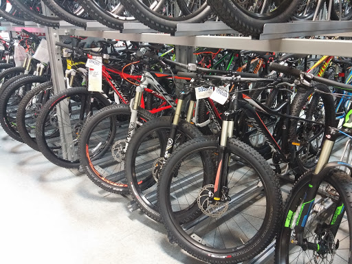 Bicycle Store «Big Wheel Bicycles USA, Inc», reviews and photos, 7035 Taft St, Hollywood, FL 33024, USA