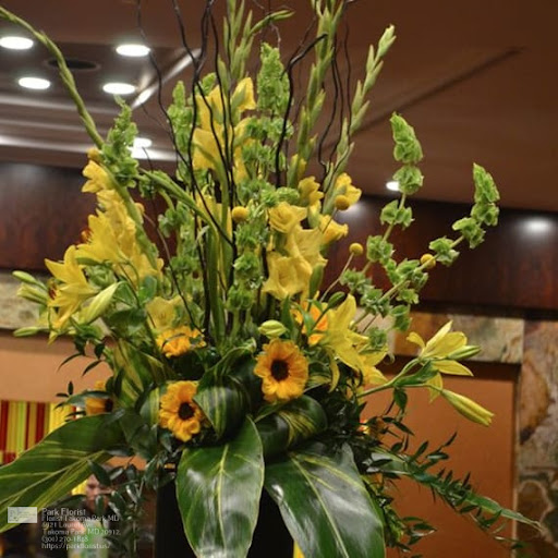 Florist «Park Florist», reviews and photos, 6921 Laurel Ave, Takoma Park, MD 20912, USA