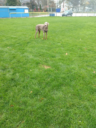 Water Park «Petersen Splash Pad at Watson Park», reviews and photos, Gordon Rd, Braintree, MA 02184, USA
