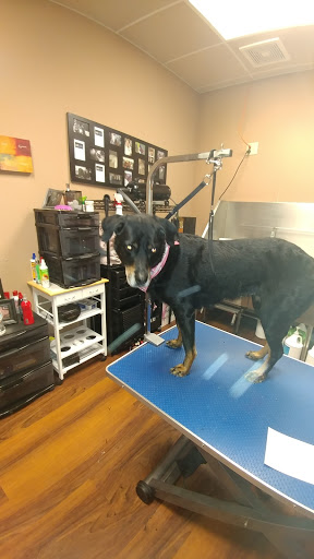 Pet Store «Pet Valu», reviews and photos, 2645 Shillington Rd, Sinking Spring, PA 19608, USA