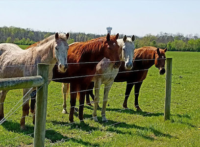 Horse carriage station