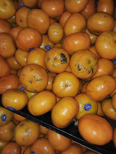 Supermarket «FoodMaxx», reviews and photos, 1160 Oroville Dam Blvd E, Oroville, CA 95965, USA