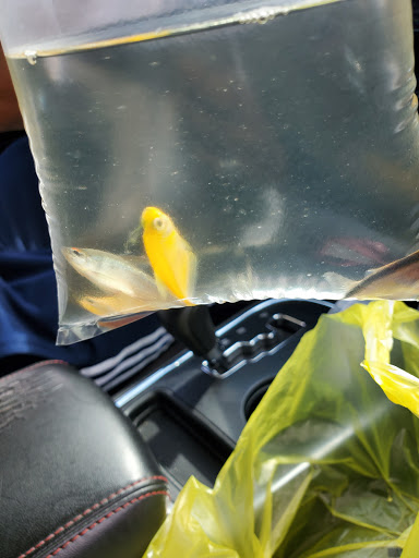 Pet Supply Store «Pet Supermarket, Inc.», reviews and photos, 9579 Bill Arp Rd #21, Douglasville, GA 30135, USA