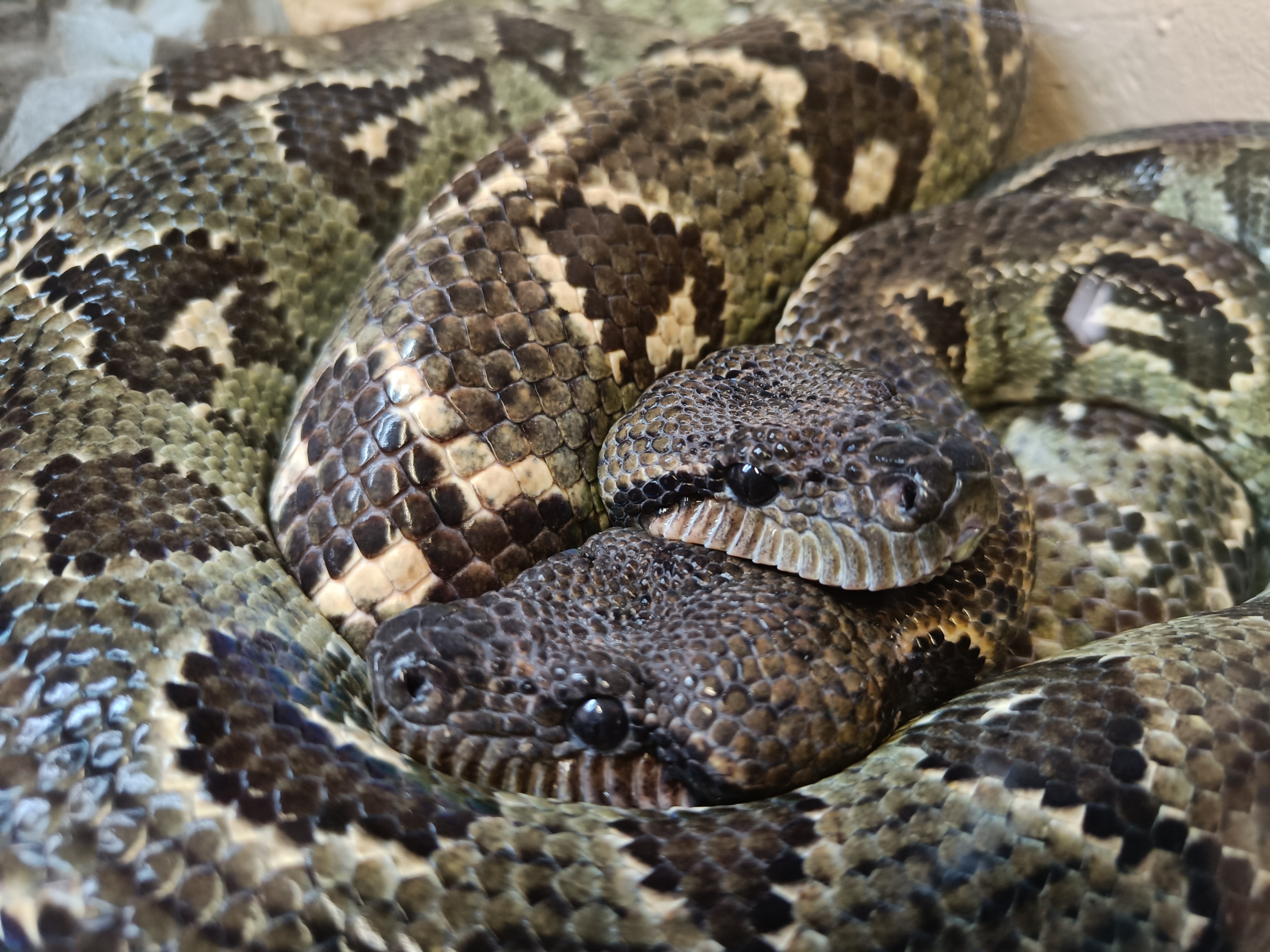 Photo n° 4 de l'avis de Kris.e fait le 16/07/2023 à 15:36