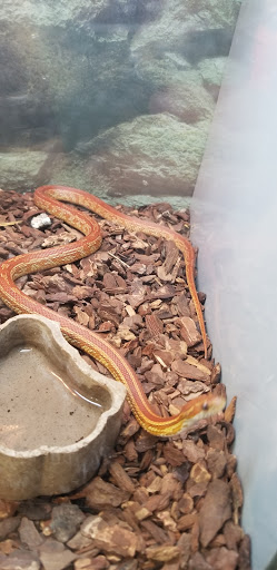 Pet Store «All Pets Club», reviews and photos, 1167 N Colony Rd, Wallingford, CT 06492, USA