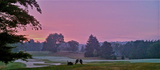 Golf Course «Radrick Farms Golf Course», reviews and photos, 4875 Geddes Road, Ann Arbor, MI 48105, USA