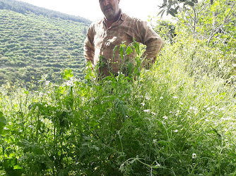 Plasto İnşaat Ltd.Şti.