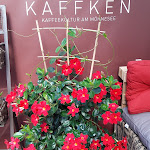 Photo n°1 de l'avis de Regine.r fait le 21/09/2021 à 12:43 sur le  auf'n Käffken - René Funger à Möhnesee