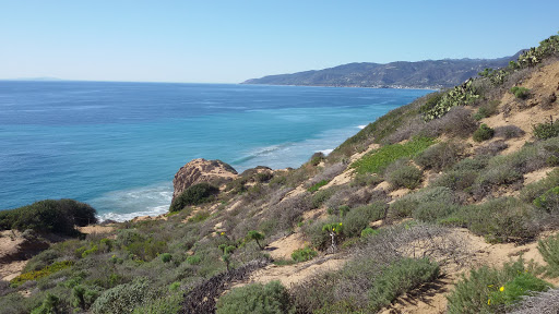 Anthony C. Beilenson Visitor Center image