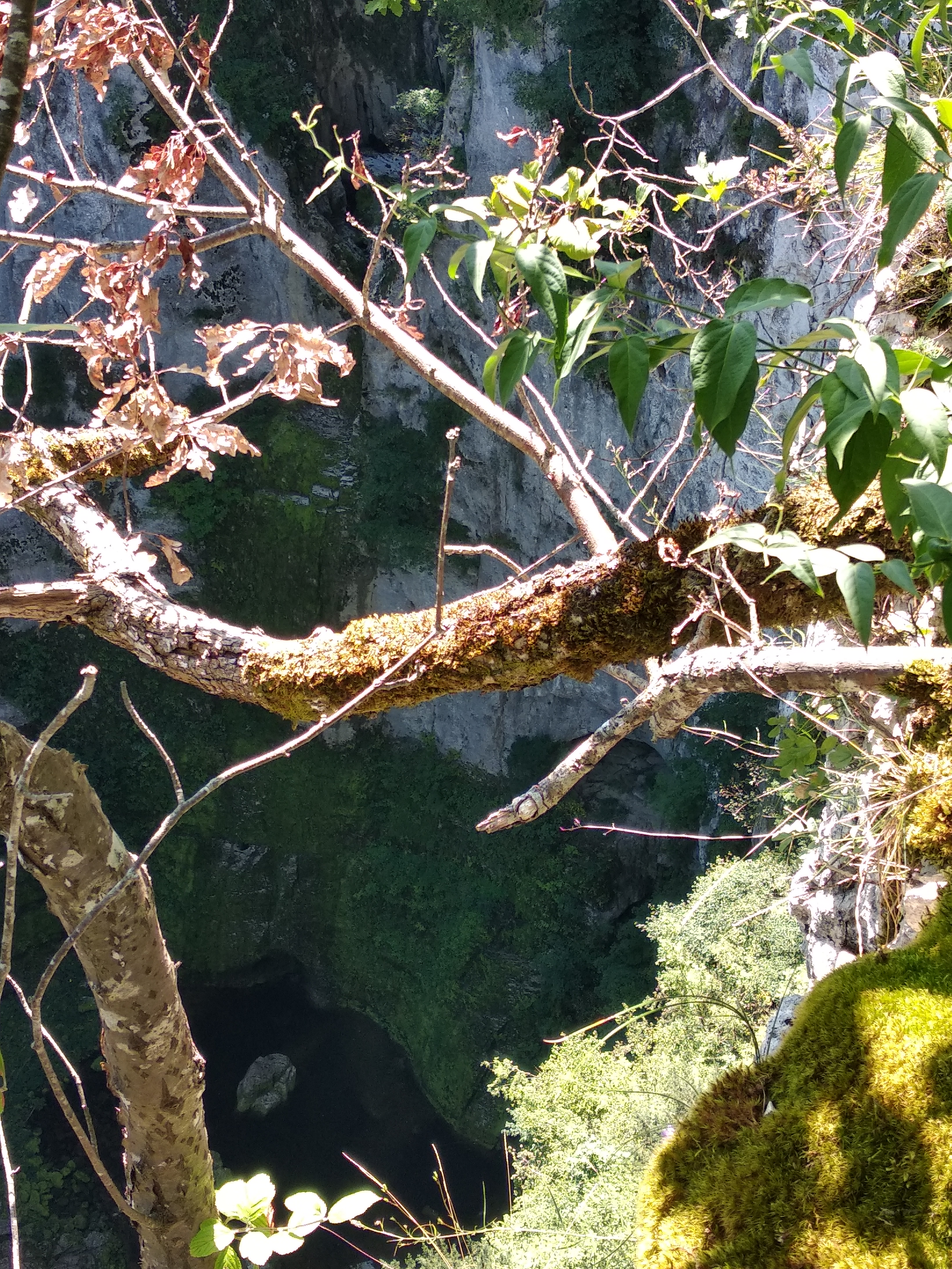 Photo n° 3 de l'avis de F.e fait le 22/08/2019 à 16:16