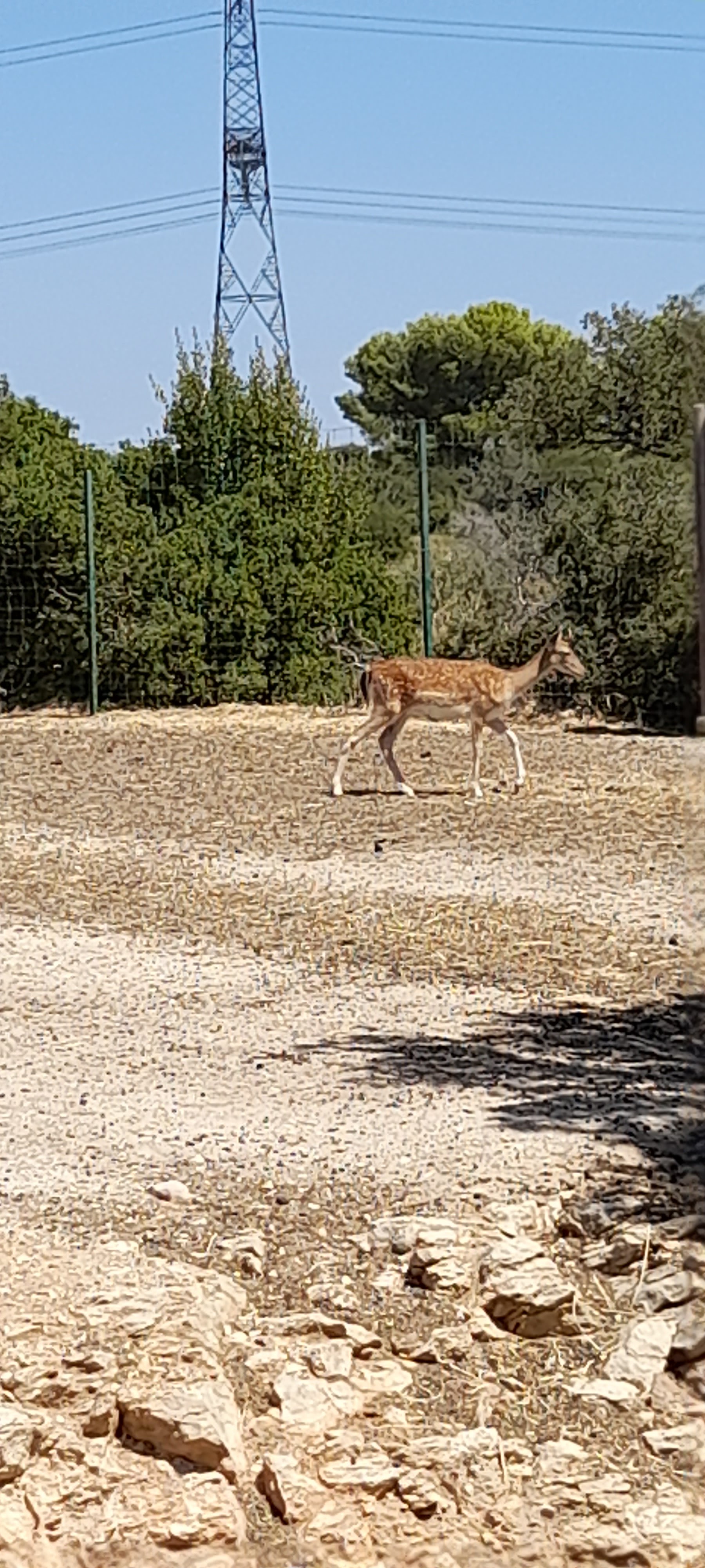 Photo n° 5 de l'avis de Sebastien.a fait le 14/08/2023 à 17:22