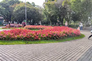 Praça das Flores image