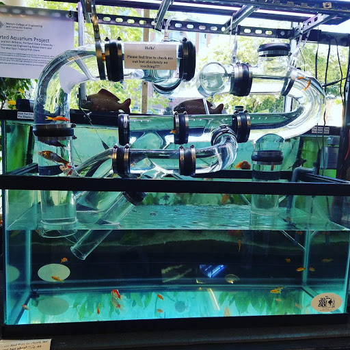 Pet Supply Store «Wet Spot Tropical Fish», reviews and photos, 4310 NE Hancock St, Portland, OR 97213, USA