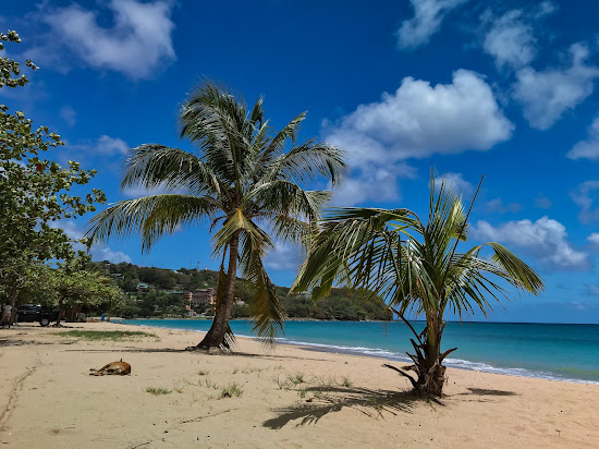 Vigie beach