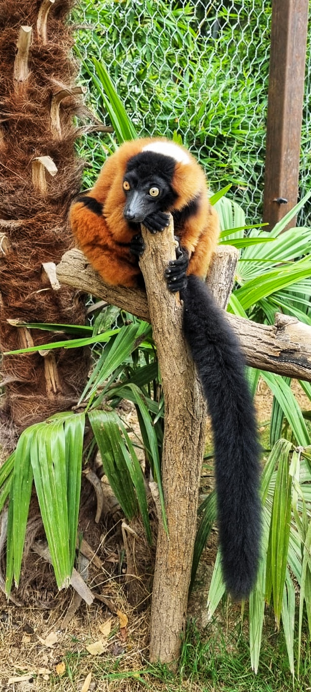 Photo n° 1 de l'avis de Bruno.I fait le 30/07/2022 à 08:58