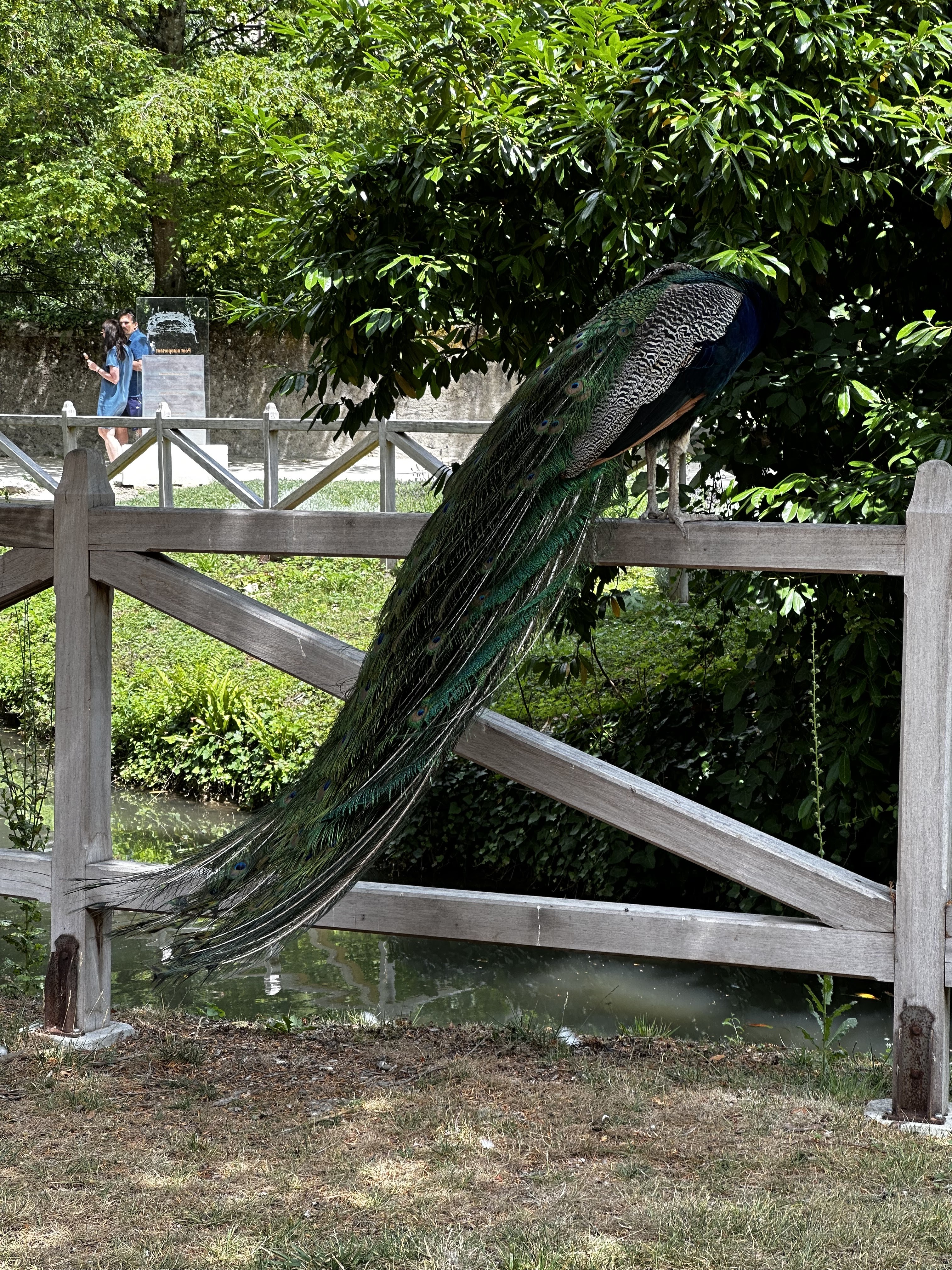 Photo n° 15 de l'avis de Catherine.h fait le 01/07/2023 à 15:17