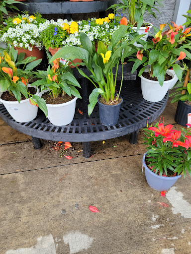 Department Store «Walmart Supercenter», reviews and photos, 160 NW 25th St, Newport, OR 97365, USA