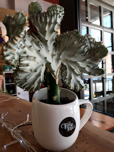 Coffee Shop «Tamp and Tap», reviews and photos, 122 Gayoso Ave, Memphis, TN 38103, USA