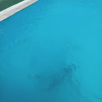 Photo n°3 de l'avis de Salvatore. fait le 16/08/2023 à 17:20 sur le  Calajo Resort à Trappeto