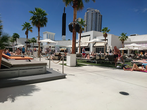 Night Club «Foxtail Pool», reviews and photos, 2535 S Las Vegas Blvd, Las Vegas, NV 89109, USA