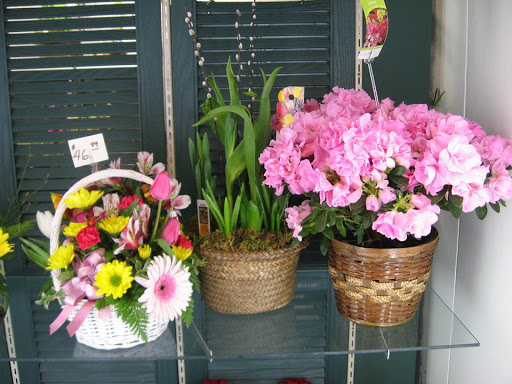 Florist «Best Wishes Floral», reviews and photos, 689 Winnetka Ave N, Golden Valley, MN 55427, USA