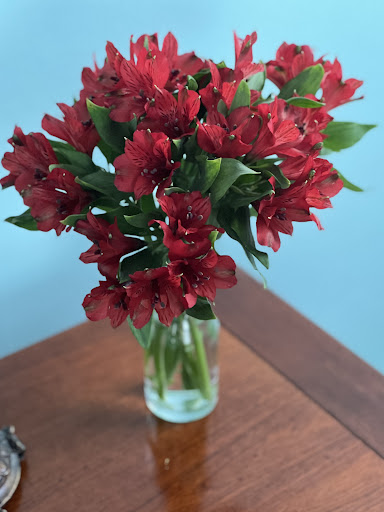 Bed & Breakfast «Morehead Manor Bed and Breakfast», reviews and photos, 914 Vickers Ave, Durham, NC 27701, USA