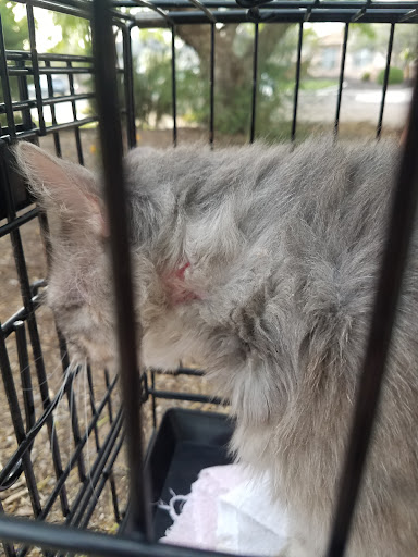 Animal Shelter «Humane Society of El Paso», reviews and photos