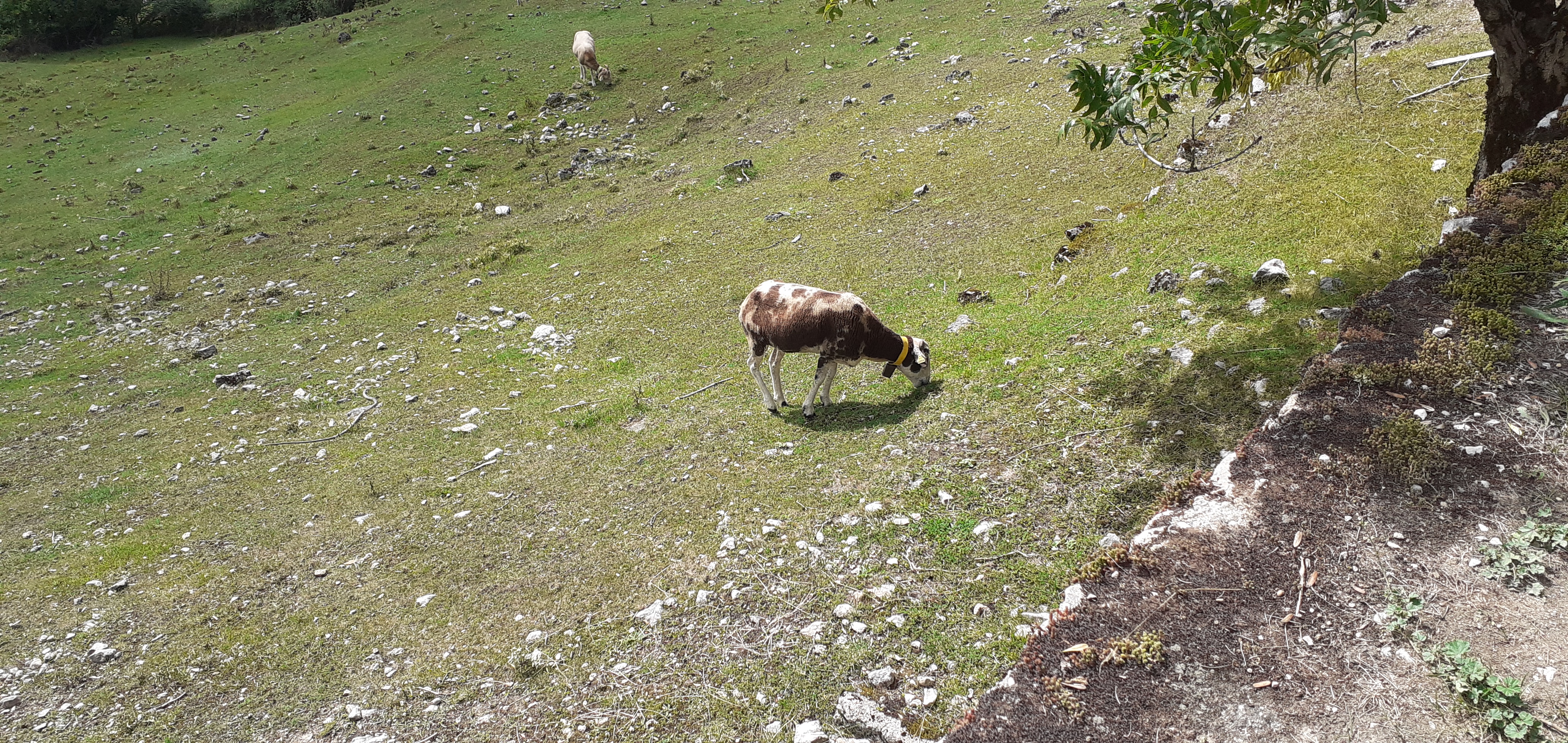 Photo n° 14 de l'avis de Fidji77.. fait le 19/08/2021 à 09:12