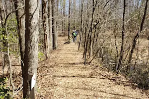 Turkey Hill Disc Golf Course image