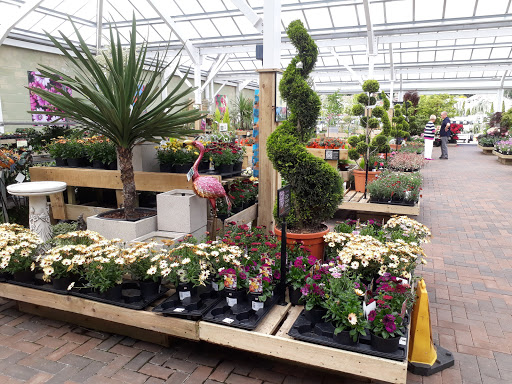 Gardening centre Aberdeen