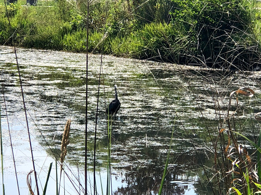 Park «Cass Park», reviews and photos, Cass Avenue, Woonsocket, RI 02895, USA