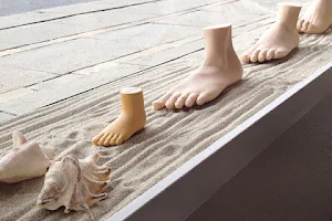 Body & Feet image