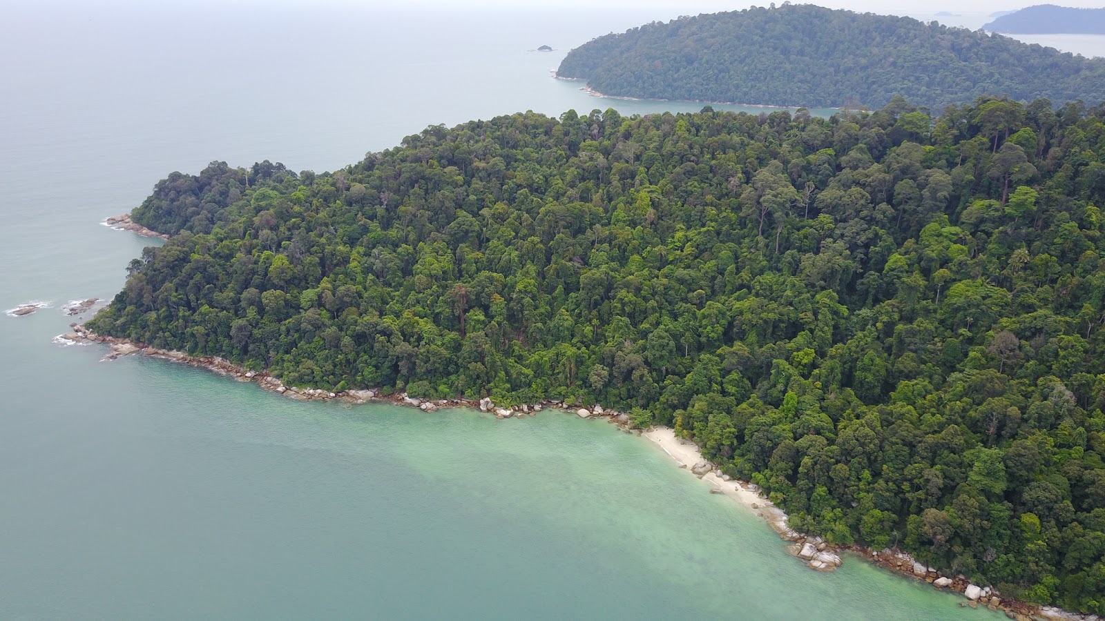 Fotografija Coral Beach nahaja se v naravnem okolju