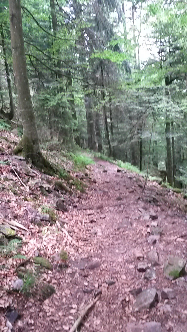 Photo n° 2 de l'avis de sut.i fait le 04/06/2017 à 05:51