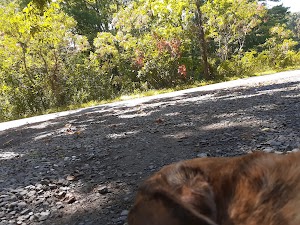 Branford Supply Pond Park - photo 91