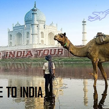 BHINCHER INDIA TOURS