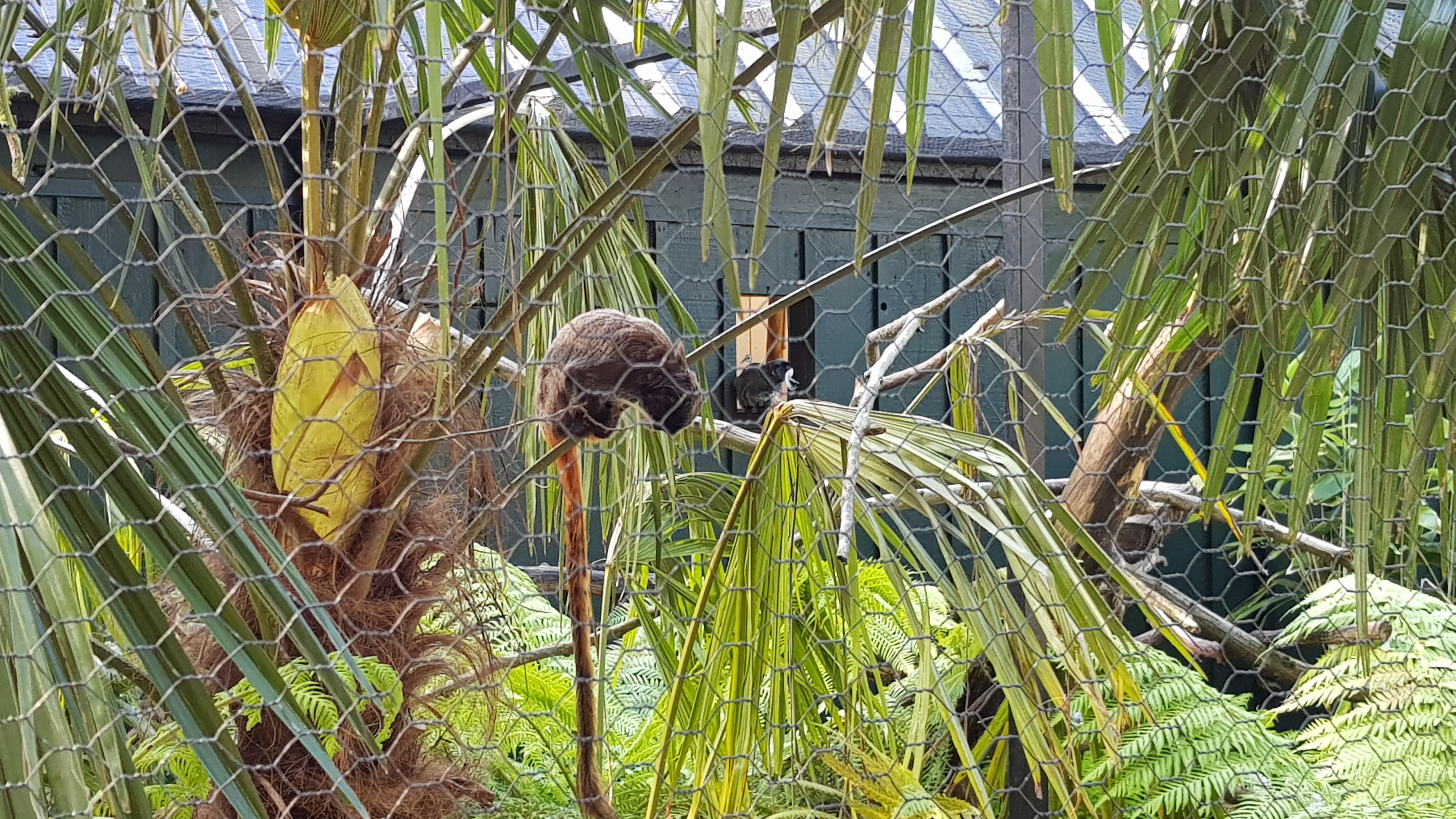 Photo n° 18 de l'avis de Tirlipinpon.u fait le 12/05/2019 à 18:48