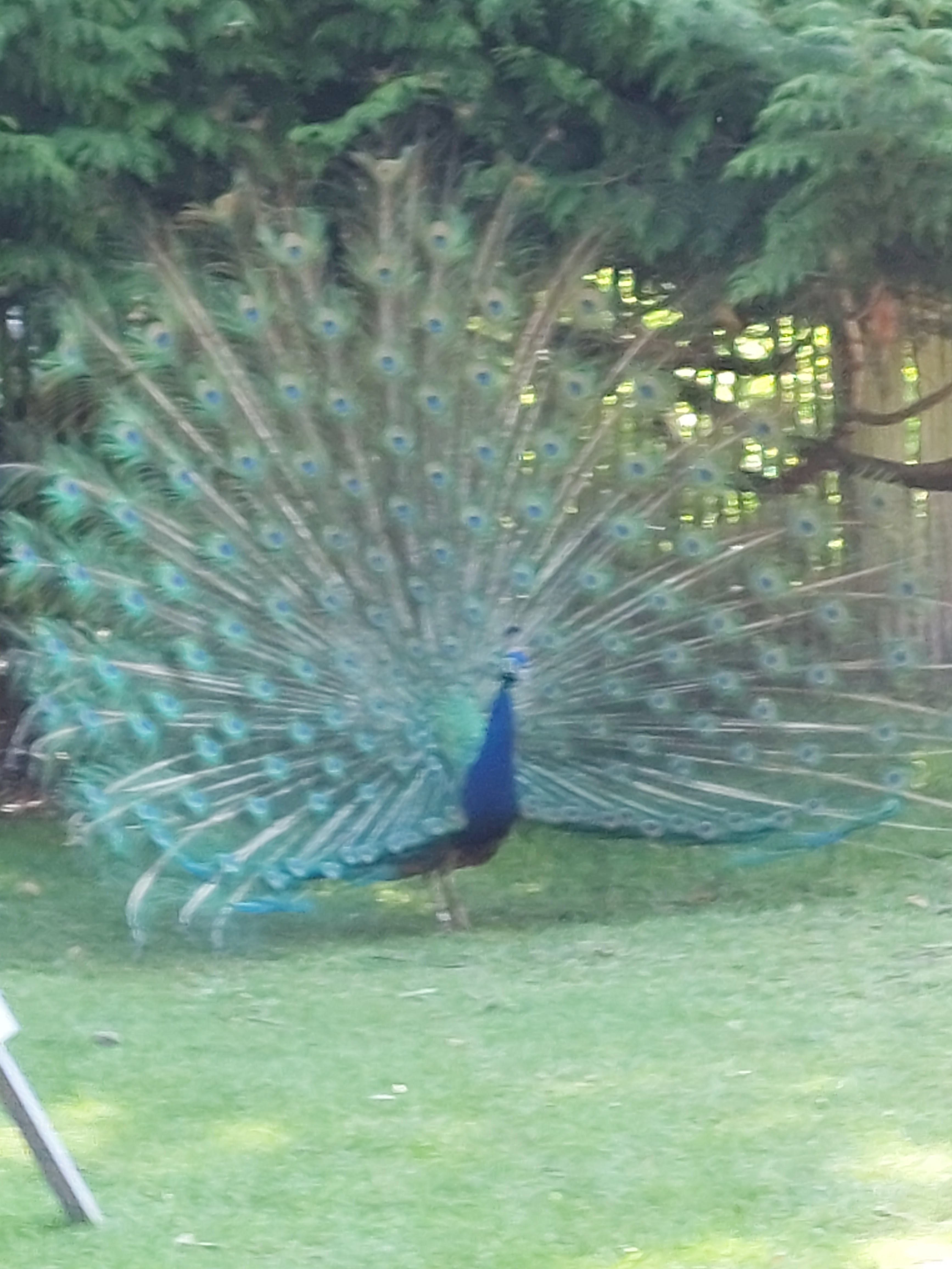 Photo n° 2 de l'avis de Bruno.a fait le 07/07/2023 à 14:52