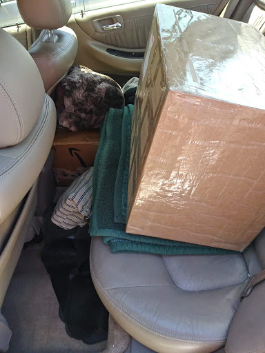 Auto Parts Store «AutoZone», reviews and photos, 95 Myrtle St, New Britain, CT 06051, USA