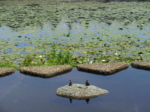 Museum «Fuller Craft Museum», reviews and photos, 455 Oak St, Brockton, MA 02301, USA